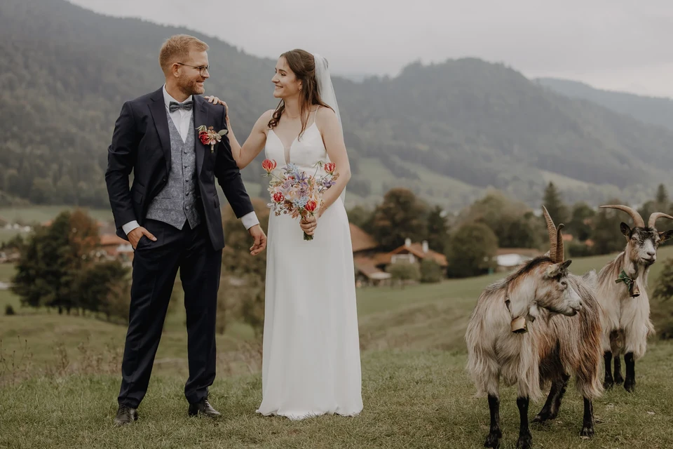Brautpaar mit Ziegen auf einer Bergwiese im Allgäu – Hochzeitsfotograf René Cerny