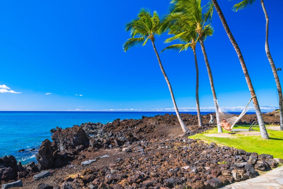 Fotograf René Cerny – Landschaftsfotografie. Hängematte zwischen Palmen an der Lavaküste, Hawaii.