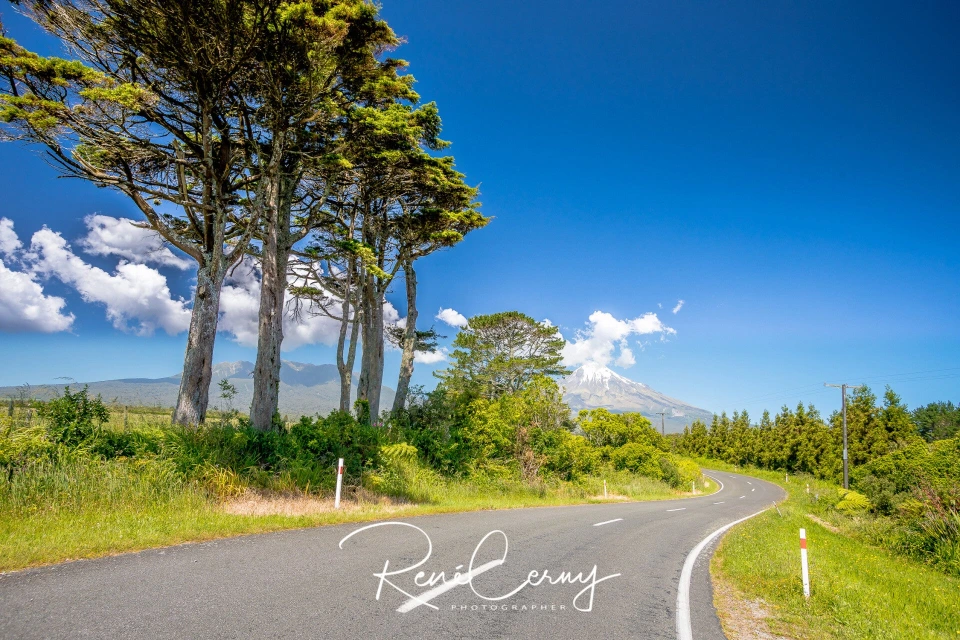 Fotograf René Cerny – Landschaftsfotografie. Baumallee an einer Landstraße mit Blick auf den Vulkan Taranaki, Neuseeland.